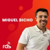 Miguel Bicho