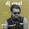DJ Raul