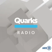 Quarks - Wissenschaft und mehr