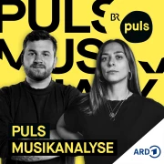 PULS Musikanalyse