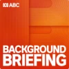 Background Briefing