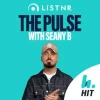The Pulse with Seany B
