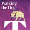 Kävelyttää koiraa