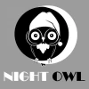 THE NIGHT OWL