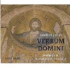 Verbum Domini - meditație la Evanghelia de duminică