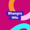 Bhangra Hits