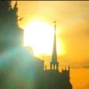 AMBER IN THE EVENING