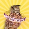 Що? Де? Коли?