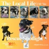 Tam’s Animal Of The Week