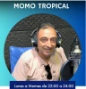 Momo Tropical
