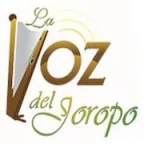 logo La voz del Joropo