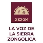 logo La Voz de la Sierra de Zongolica