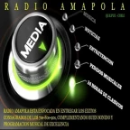 logo Radio Amapola
