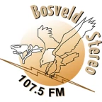 logo Bosveld Stereo