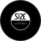 logo Size Radio