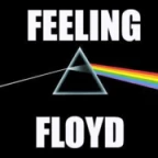 logo Feeling Floyd Rock