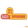 Opsinjoor