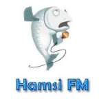 logo Hamsi FM