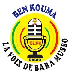 logo La Voix de Bara Musso
