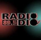 logo RADIO DIO