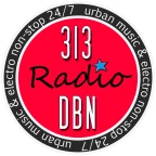 logo 313 DBN Radio