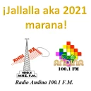 Radio Andina online