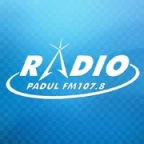 logo Radio Padul