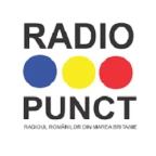 logo Radio Punct