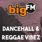 logo bigFM Dancehall & Reggae Vibez