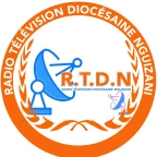 logo RTDN
