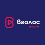 logo Вголос FM