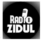 logo Radio Zidul